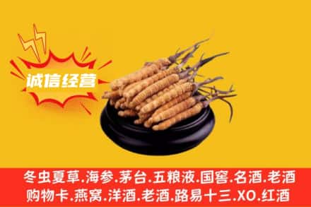 潜江市回收冬虫夏草